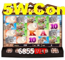 6855bet